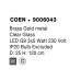 Pakabinamas šviestuvas COEN 9006043